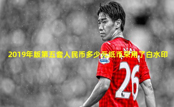 2019年版第五套人民币多少元纸币采用了白水印