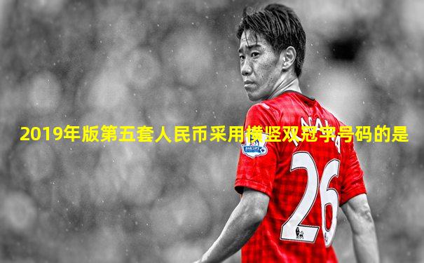 2019年版第五套人民币采用横竖双冠字号码的是