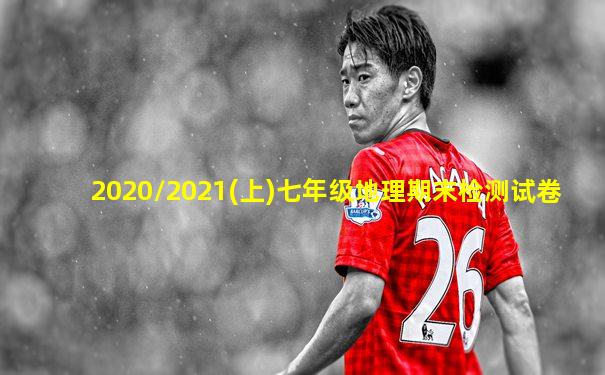 2020/2021(上)七年级地理期末检测试卷