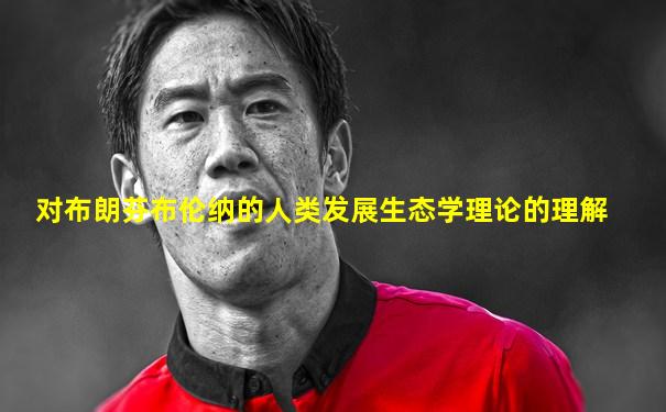 对布朗芬布伦纳的人类发展生态学理论的理解