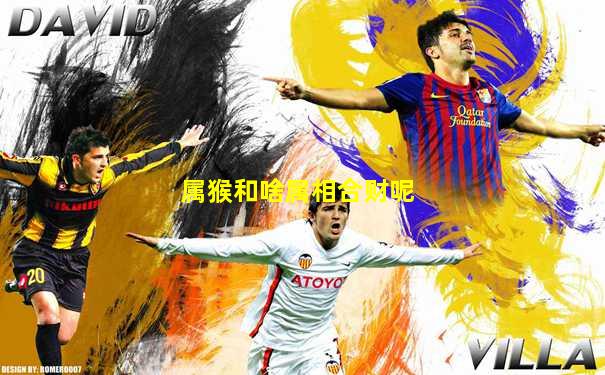 属猴和啥属相合财呢