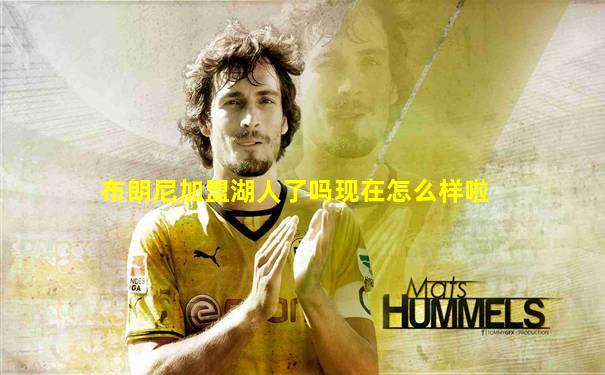 布朗尼加盟湖人了吗现在怎么样啦