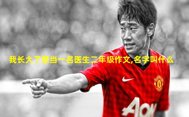 我长大了想当一名医生二年级作文,名字叫什么