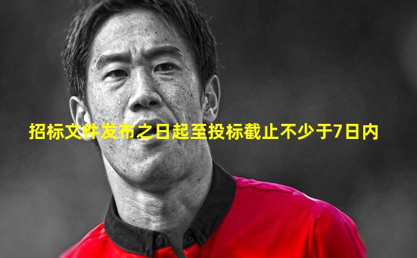 招标文件发布之日起至投标截止不少于7日内