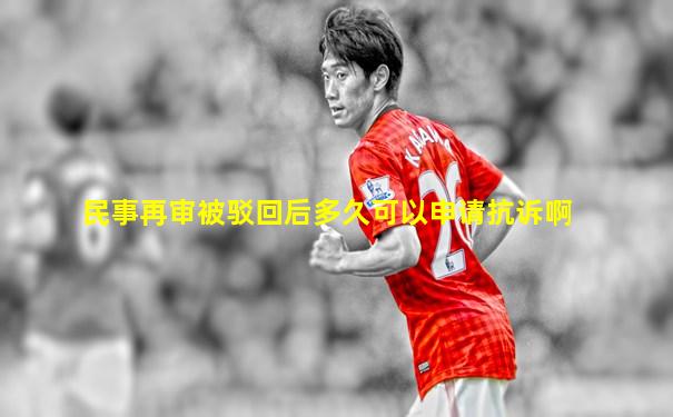 民事再审被驳回后多久可以申请抗诉啊