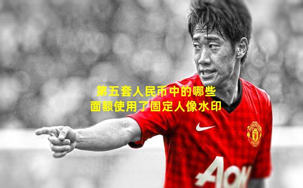 第五套人民币中的哪些面额使用了固定人像水印