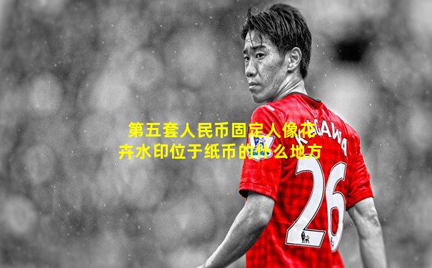 第五套人民币固定人像花卉水印位于纸币的什么地方