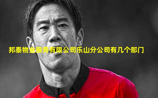 邦泰物业服务有限公司乐山分公司有几个部门