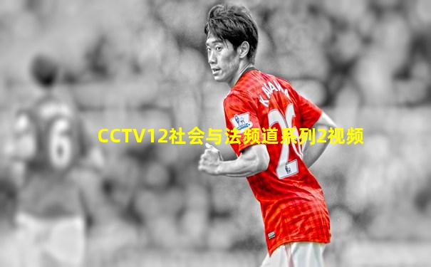 CCTV12社会与法频道系列2视频
