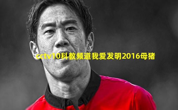 cctv10科教频道我爱发明2016母猪