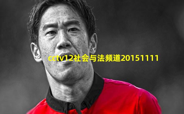 cctv12社会与法频道20151111