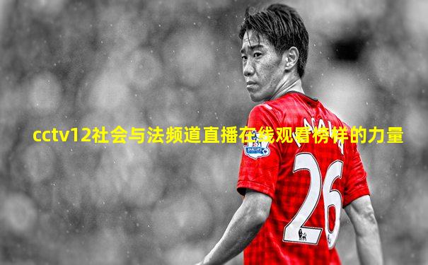 cctv12社会与法频道直播在线观看榜样的力量