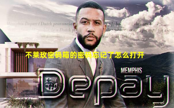 不莱玫密码箱的密码忘记了怎么打开
