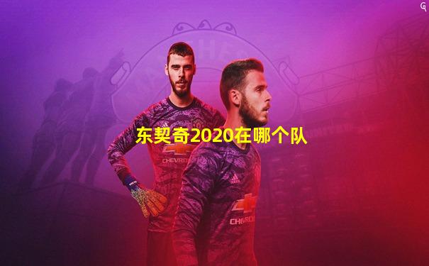 东契奇2020在哪个队