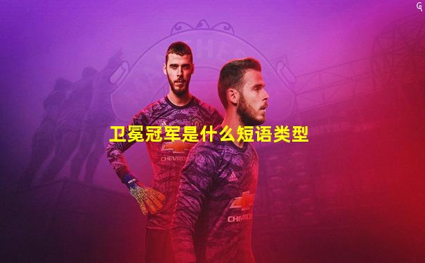 卫冕冠军是什么短语类型