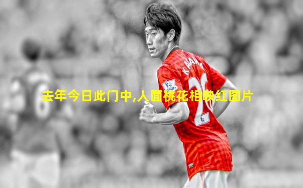 去年今日此门中,人面桃花相映红图片