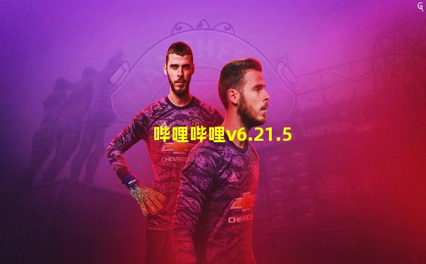 哔哩哔哩v6.21.5