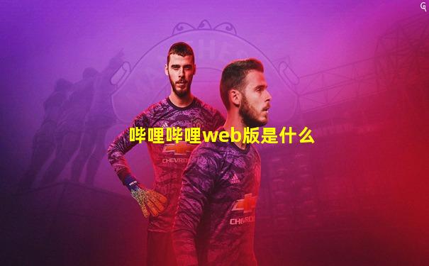 哔哩哔哩web版是什么