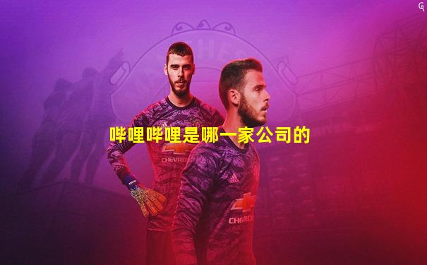 哔哩哔哩是哪一家公司的