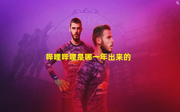 哔哩哔哩是哪一年出来的