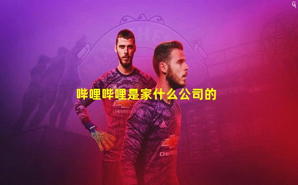 哔哩哔哩是家什么公司的