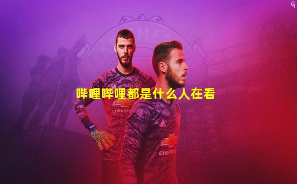 哔哩哔哩都是什么人在看