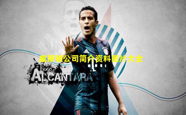 威斯顿公司简介资料图片大全