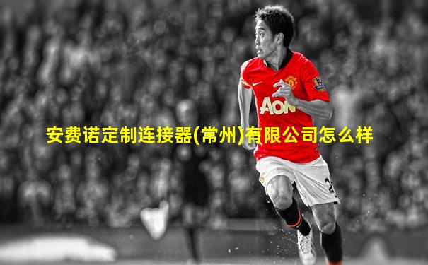 安费诺定制连接器(常州)有限公司怎么样