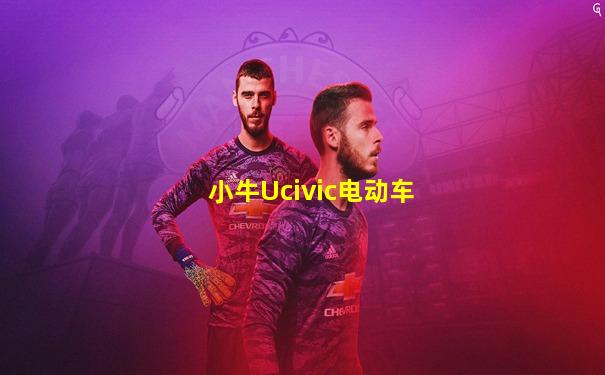 小牛Ucivic电动车