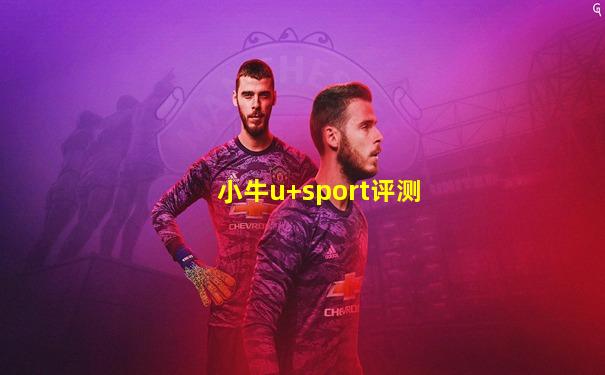 小牛u+sport评测