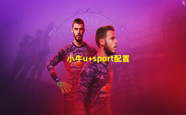 小牛u+sport配置