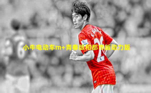 小牛电动车m+青春版和都市版动力版