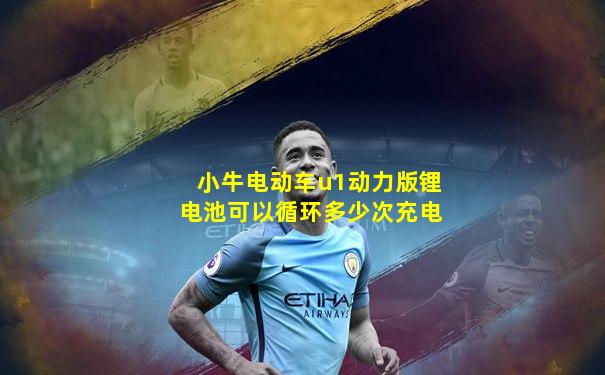 小牛电动车u1动力版锂电池可以循环多少次充电