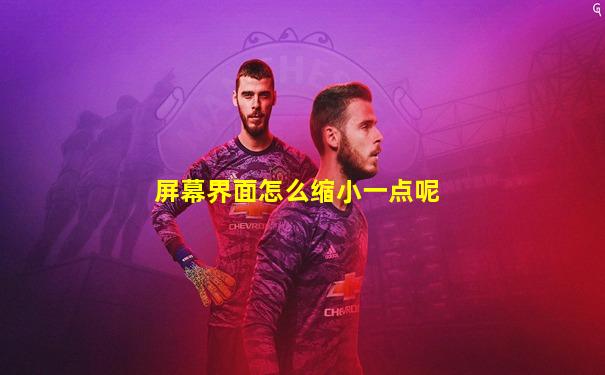 屏幕界面怎么缩小一点呢