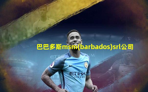 巴巴多斯msm(barbados)srl公司
