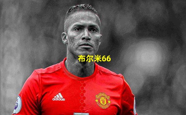 布尔米66