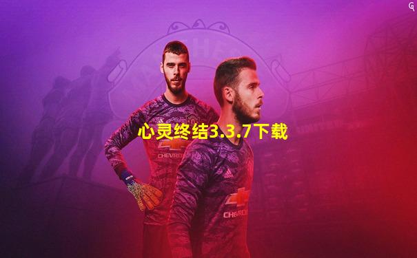 心灵终结3.3.7下载
