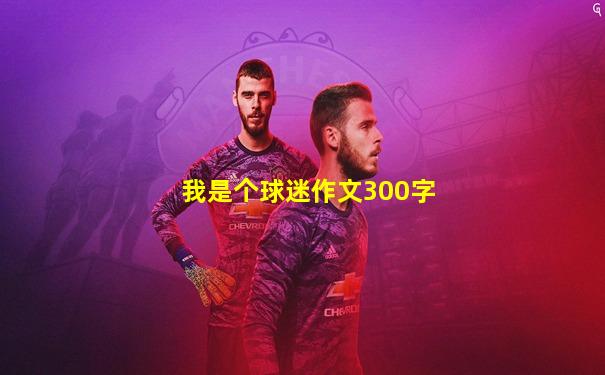 我是个球迷作文300字
