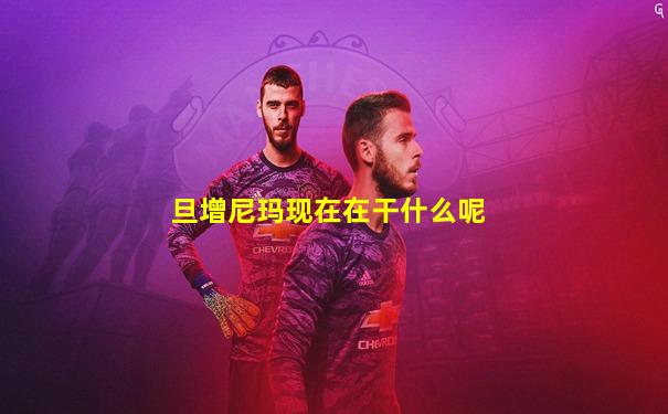 旦增尼玛现在在干什么呢
