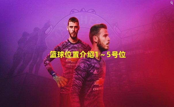 篮球位置介绍1～5号位