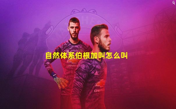 自然体系伯根加叫怎么叫