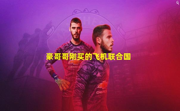 豪哥哥刚买的飞机联合国