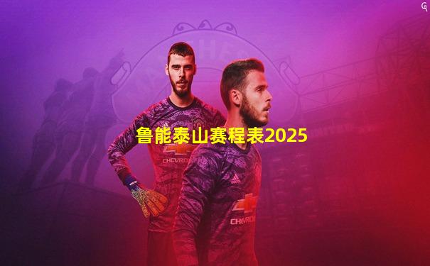 鲁能泰山赛程表2025